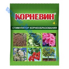 Корневин   4гр.